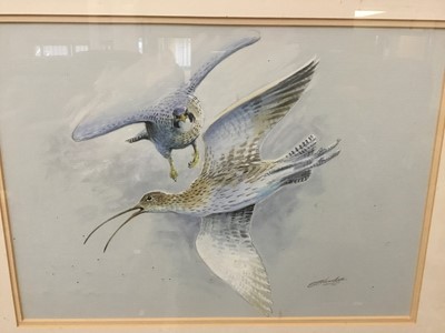 Lot 107 - Simon Trinder (b.1958) watercolour - Curlew and Peregrine, signed, in glazed gilt frame