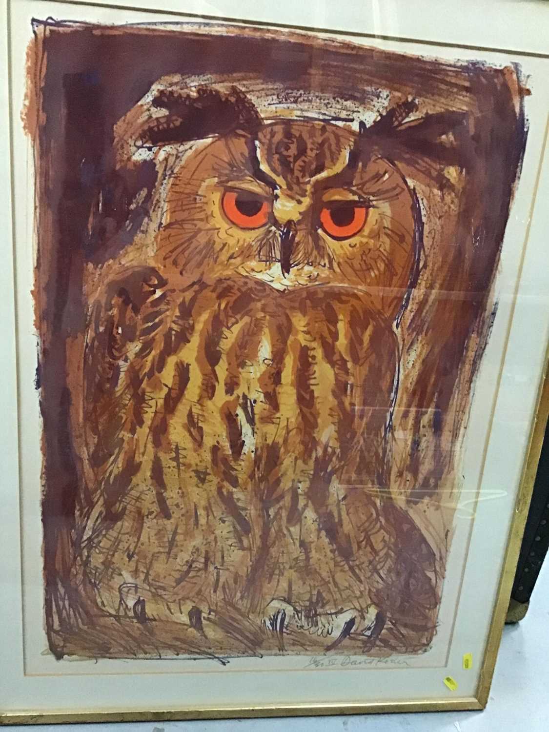 Lot 553 - David Koehler print - Owl