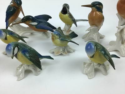 Lot 120 - Collection of eleven Karl Ens porcelain birds