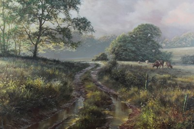 Lot 221 - David Dipnall oil on canvas landscape