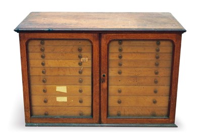 Lot 753 - Victorian oak double-banked collectors cabinet