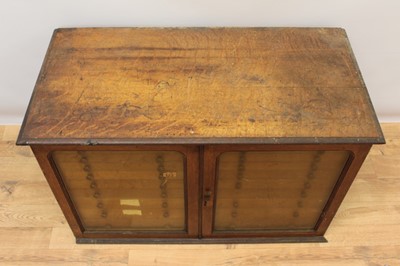 Lot 753 - Victorian oak double-banked collectors cabinet