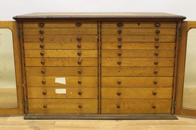 Lot 753 - Victorian oak double-banked collectors cabinet