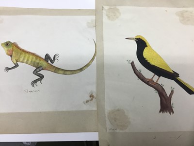 Lot 328 - Two early 19th century Anglo Indian pen and ink watercolours (2)