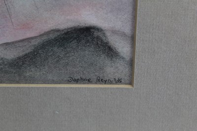 Lot 17 - Pair of pastels by Daphne Reynolds (1918-2002) 'In the shadows of mount fungi' signed in glazed frames 39cm x 20cm, (Reynolds was a founder member of Gainsborough's house print workshop) together w...