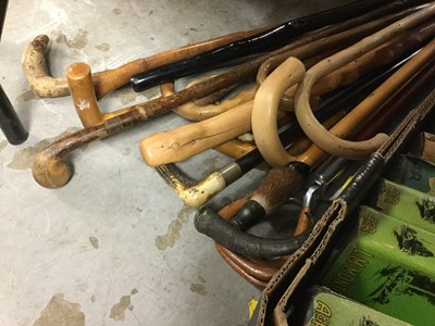 Lot 290 - Collection of walking sticks and a shooting stick