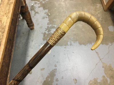 Lot 33 - Segmented walking cane with gold plated collar and horn handle