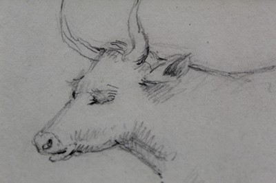 Lot 1154 - Manner of John Constable pencil drawing - a cow, bearing signature, in glazed gilt frame