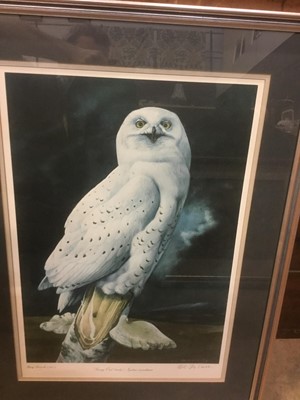 Lot 191 - Signed limited edition print by Barry Driscoll - Snowy owl, with blindstamp, framed