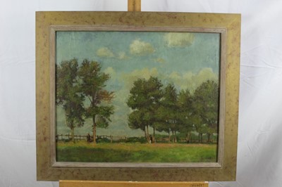 Lot 96 - Edward Hall (b. 1930) oil on canvas Young Elms, signed, inscribed verso