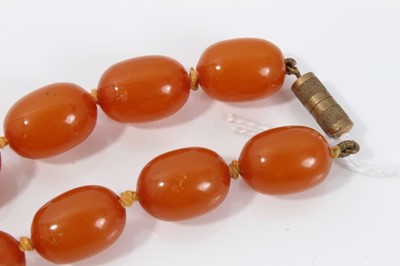 Lot 18 - Amber necklace