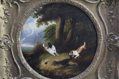 Lot 235 - Attributed to Edward Armfield (1817-1896) oil on canvas - terriers around a rabbit warren, tondo, in gilt frame, 28cm diameter