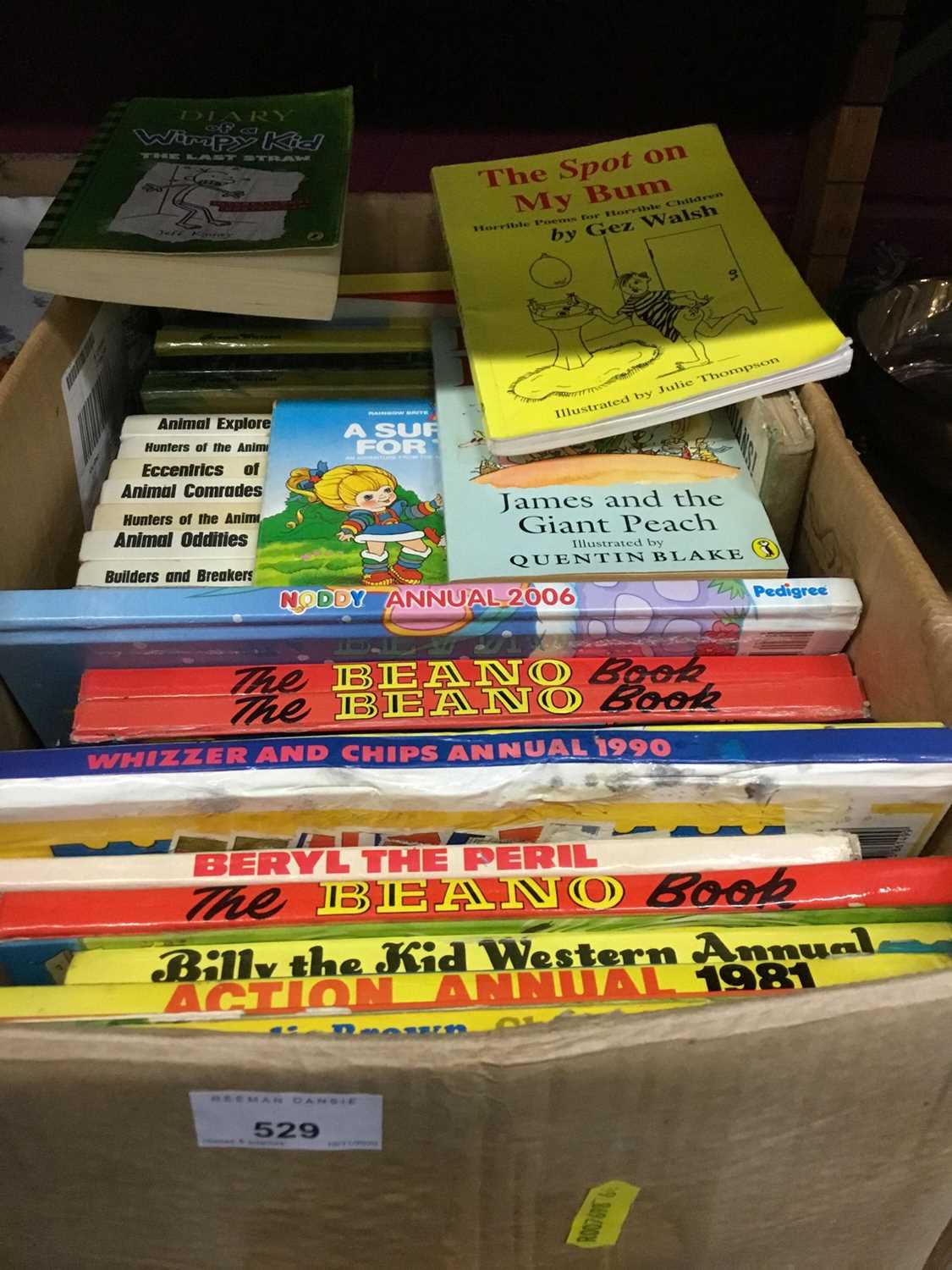 Lot 529 - One box of children's books and annuals