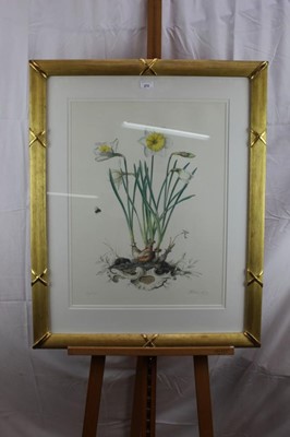Lot 272 - Graham Rust (b.1942) pair of signed limited edition lithographs - Narcissi, 156/350, in glazed gilt frames, 59cm x 44cm