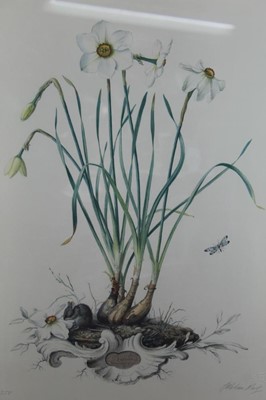 Lot 272 - Graham Rust (b.1942) pair of signed limited edition lithographs - Narcissi, 156/350, in glazed gilt frames, 59cm x 44cm