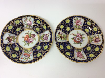 Lot 252 - Pair of early 19th century English porcelain botanical dessert plates on blue and gilt ground