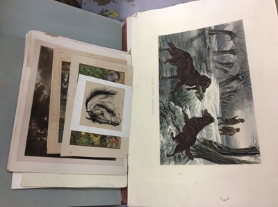 Lot 368 - Large folio containing quantity of unframed works