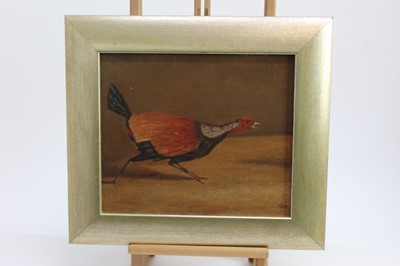 Lot 20 - J. Box, pair of oils on canvas board - Fighting Cocks, signed, in glazed gilt frames, 29cm x 34cm