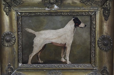 Lot 164 - English School (circa 1880), oil on board, A  Fox Terrier, oil on board, in gilt frame, 17 x 24cm