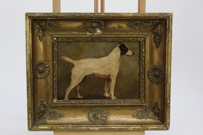 Lot 164 - English School (circa 1880), oil on board, A  Fox Terrier, oil on board, in gilt frame, 17 x 24cm