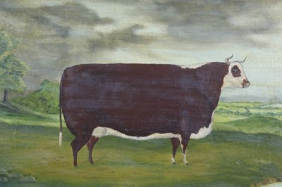 Lot 196 - 19th century naive oil on canvas of a prize bull, 54cm x 36cm