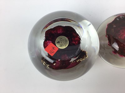 Lot 606 - Five Selkirk art glass paperweights by Peter Holmes (5)