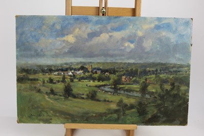 Lot 178 - John Neale, contemporary, oil on board - extensive valley landscape, signed and dated 1982, unframed, 38cm x 61cm