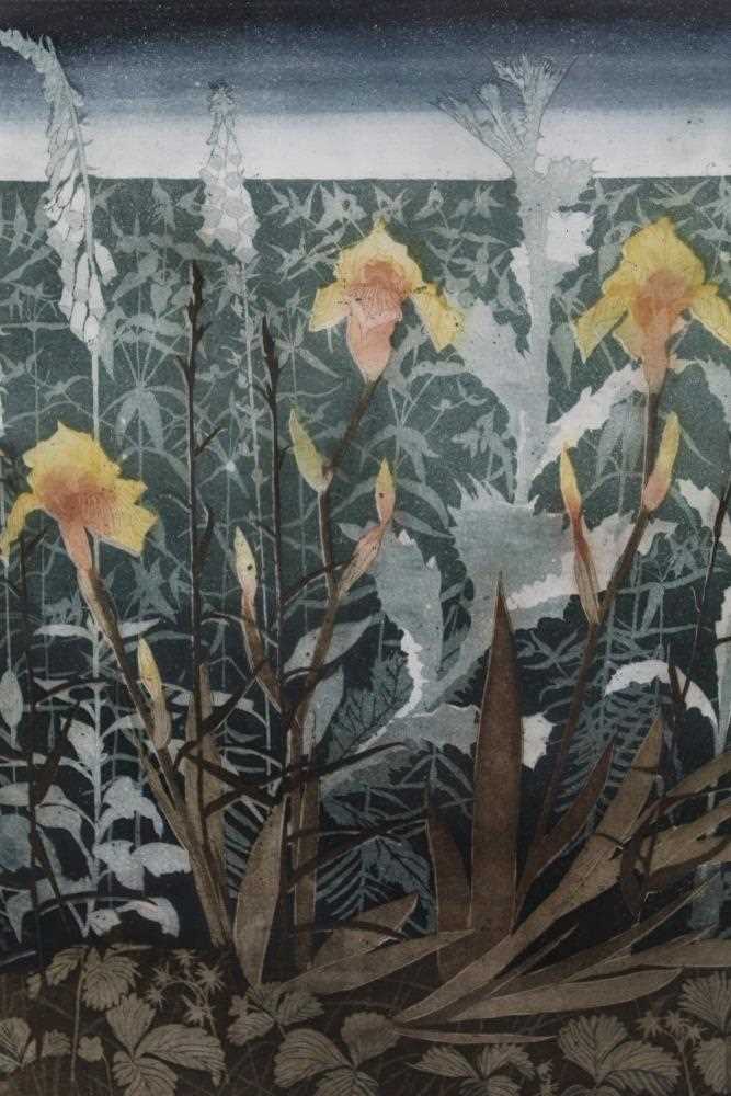 Lot 1095 - *Richard Bawden (1936) etching - Irises