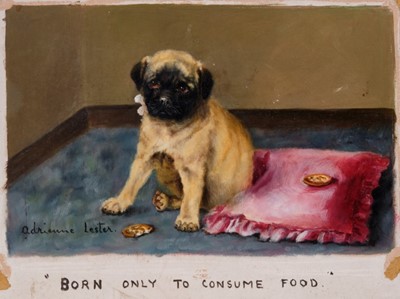 Lot 260 - Adrienne Lester, oil on board - a pug puppy, entitled "Born only to Consume Food", signed and titled, unframed, 26cm x 36cm overall