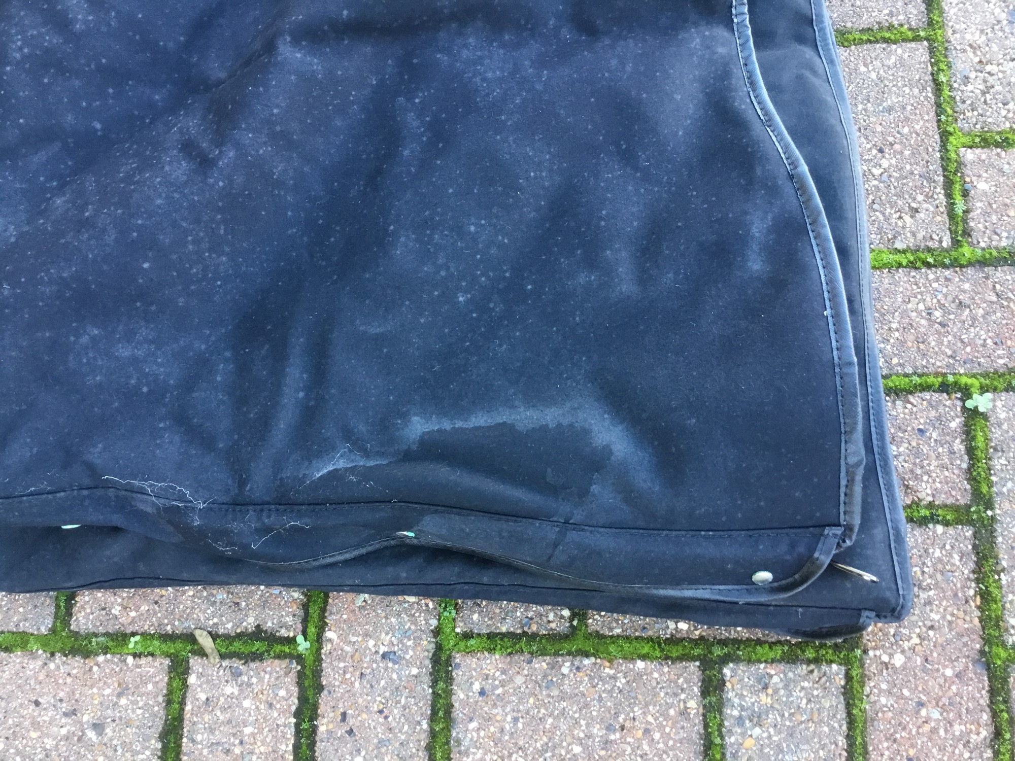 Lot 205 Two travel cases for harps