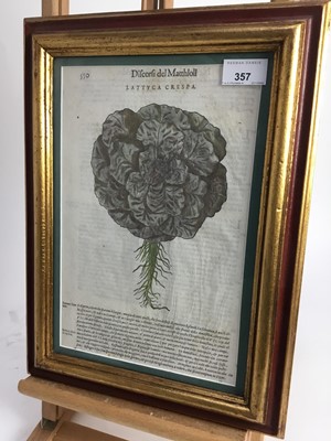 Lot 357 - After Pietro Mattioli (1501-1577) five hand coloured woodblock botanical prints by Wolfgang Mayerpick, circa 1568, in glazed gilt and painted frames, 41cm x 32cm