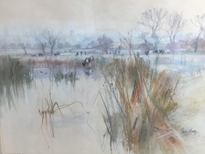 Lot 367 - Ian Hay (born 1942) - pastel in glazed frame - Cymbeline Meadow with cows by the river and Colchester skyline in distance