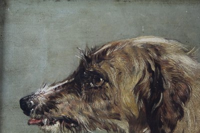 Lot 517 - After Sir Edwin Landseer oil - Hafed, a Scottish Deerhound