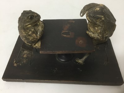 Lot 5 - Present for your mother-in-law: taxidermy group of two seated frogs