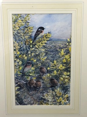 Lot 255 - Peter Partington, contemporary, watercolour - Stonechats, signed, in glazed gilt frame, 23cm x 14cm