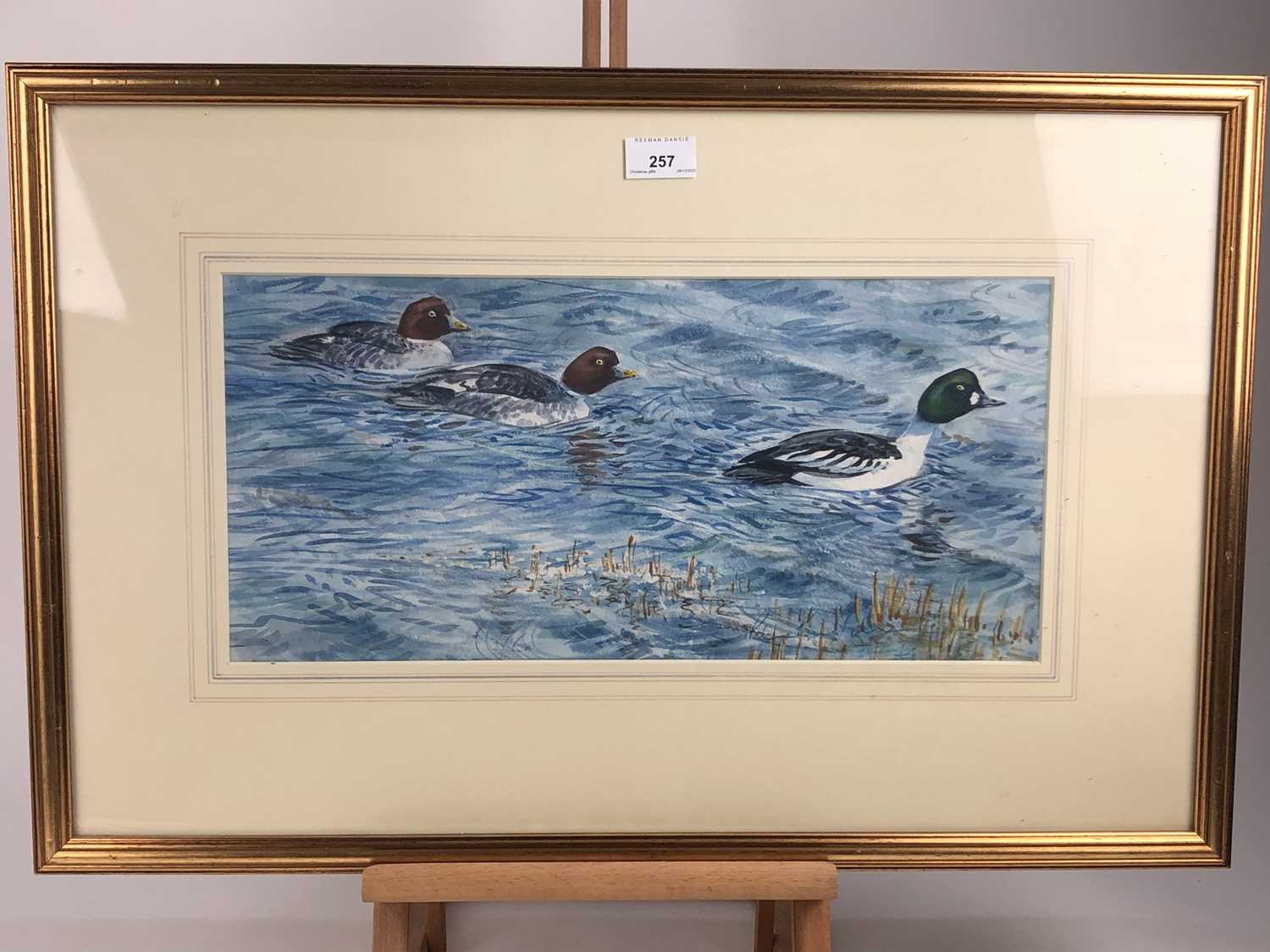 Lot 257 - Peter Partington, contemporary, watercolour - Goldeneye Ducks, signed, in glazed gilt frame, 21cm x 45cm