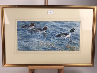 Lot 257 - Peter Partington, contemporary, watercolour - Goldeneye Ducks, signed, in glazed gilt frame, 21cm x 45cm