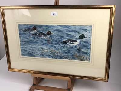 Lot 257 - Peter Partington, contemporary, watercolour - Goldeneye Ducks, signed, in glazed gilt frame, 21cm x 45cm