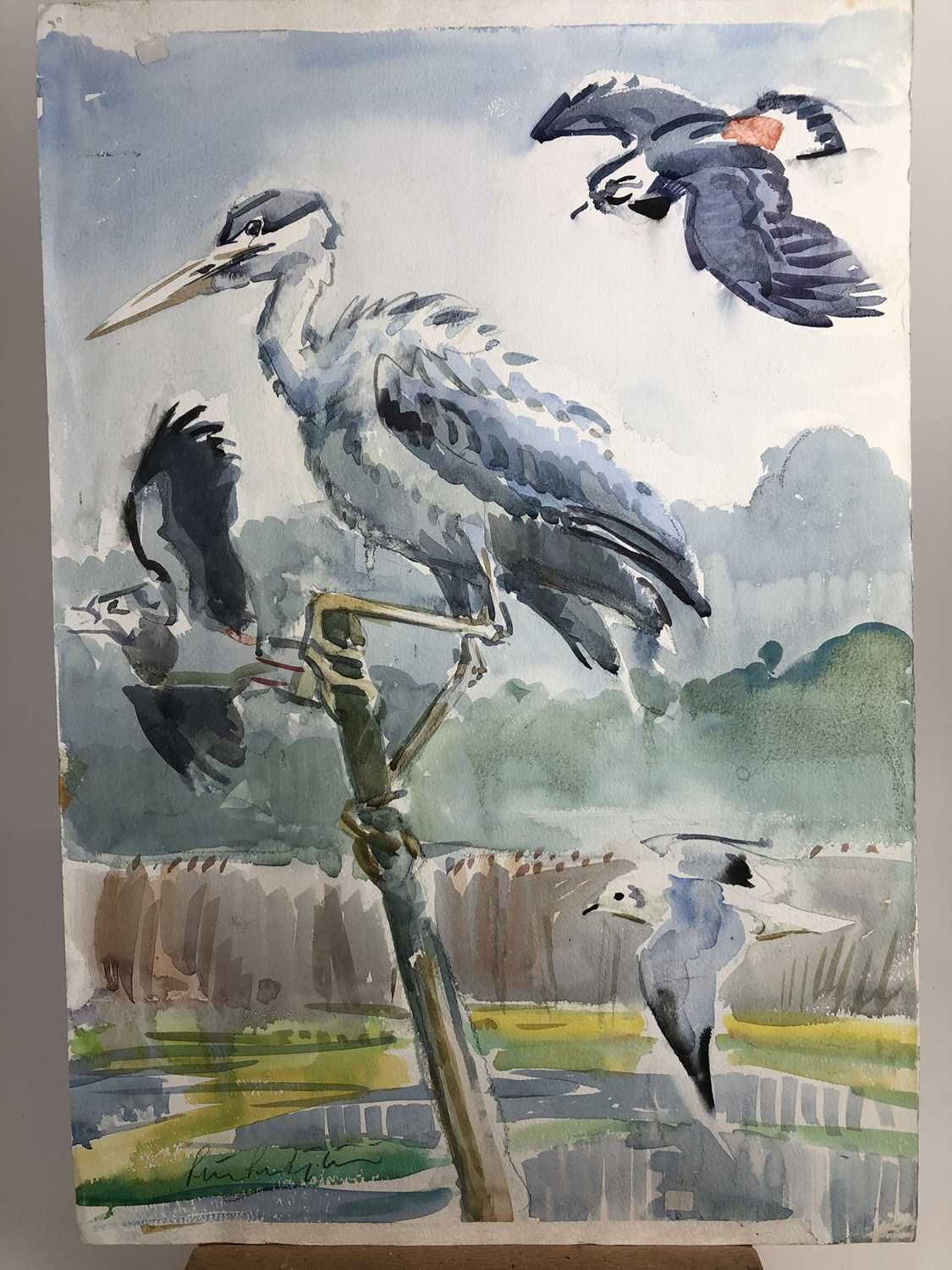 Lot 1022 - Peter Partington, contemporary, collection of eleven unframed watercolours - assorted birds to include Sea, Wildfowl and Song, various sizes