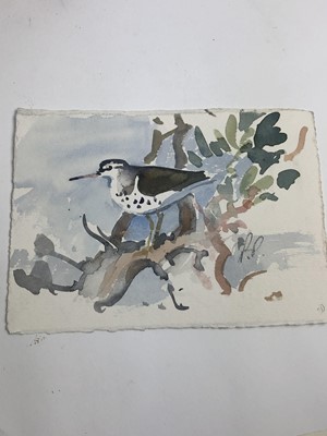 Lot 1022 - Peter Partington, contemporary, collection of eleven unframed watercolours - assorted birds to include Sea, Wildfowl and Song, various sizes