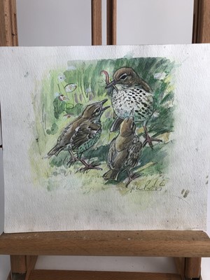 Lot 1022 - Peter Partington, contemporary, collection of eleven unframed watercolours - assorted birds to include Sea, Wildfowl and Song, various sizes