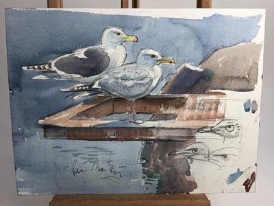 Lot 1022 - Peter Partington, contemporary, collection of eleven unframed watercolours - assorted birds to include Sea, Wildfowl and Song, various sizes
