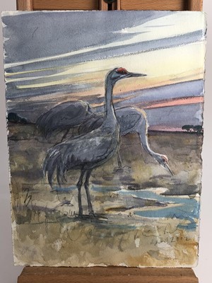 Lot 1022 - Peter Partington, contemporary, collection of eleven unframed watercolours - assorted birds to include Sea, Wildfowl and Song, various sizes