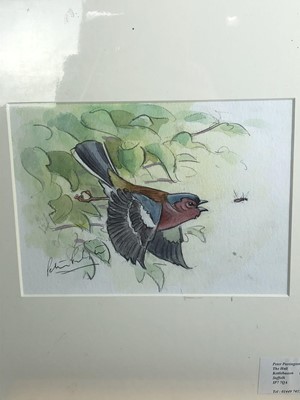 Lot 1022 - Peter Partington, contemporary, collection of eleven unframed watercolours - assorted birds to include Sea, Wildfowl and Song, various sizes