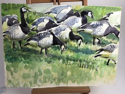 Lot 1022 - Peter Partington, contemporary, collection of eleven unframed watercolours - assorted birds to include Sea, Wildfowl and Song, various sizes