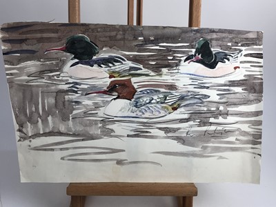 Lot 1022 - Peter Partington, contemporary, collection of eleven unframed watercolours - assorted birds to include Sea, Wildfowl and Song, various sizes