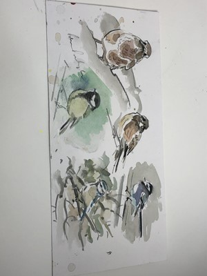 Lot 1022 - Peter Partington, contemporary, collection of eleven unframed watercolours - assorted birds to include Sea, Wildfowl and Song, various sizes