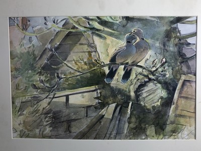 Lot 1022 - Peter Partington, contemporary, collection of eleven unframed watercolours - assorted birds to include Sea, Wildfowl and Song, various sizes