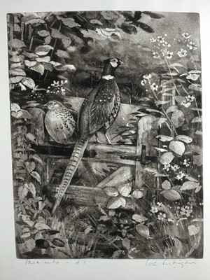 Lot 266 - Peter Partington, contemporary, collection of four unframed etchings, three signed, to include Pheasants, Redshank, Kestrel and children on a jetty (4)