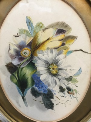 Lot 61 - Victorian botanical watercolour, unsigned, oval, 16 x 22cm, glazed frame